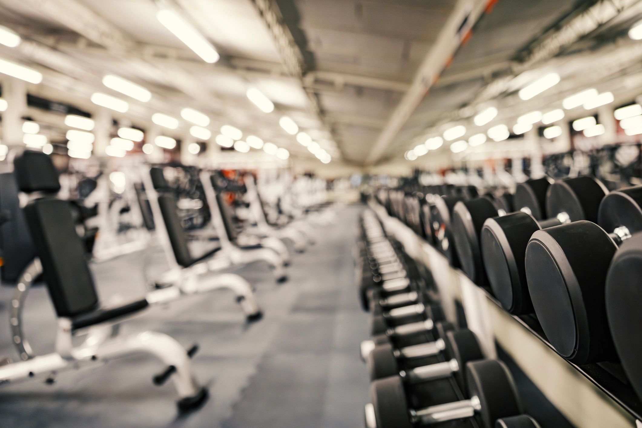 Modern gym interior with free weights and equipment